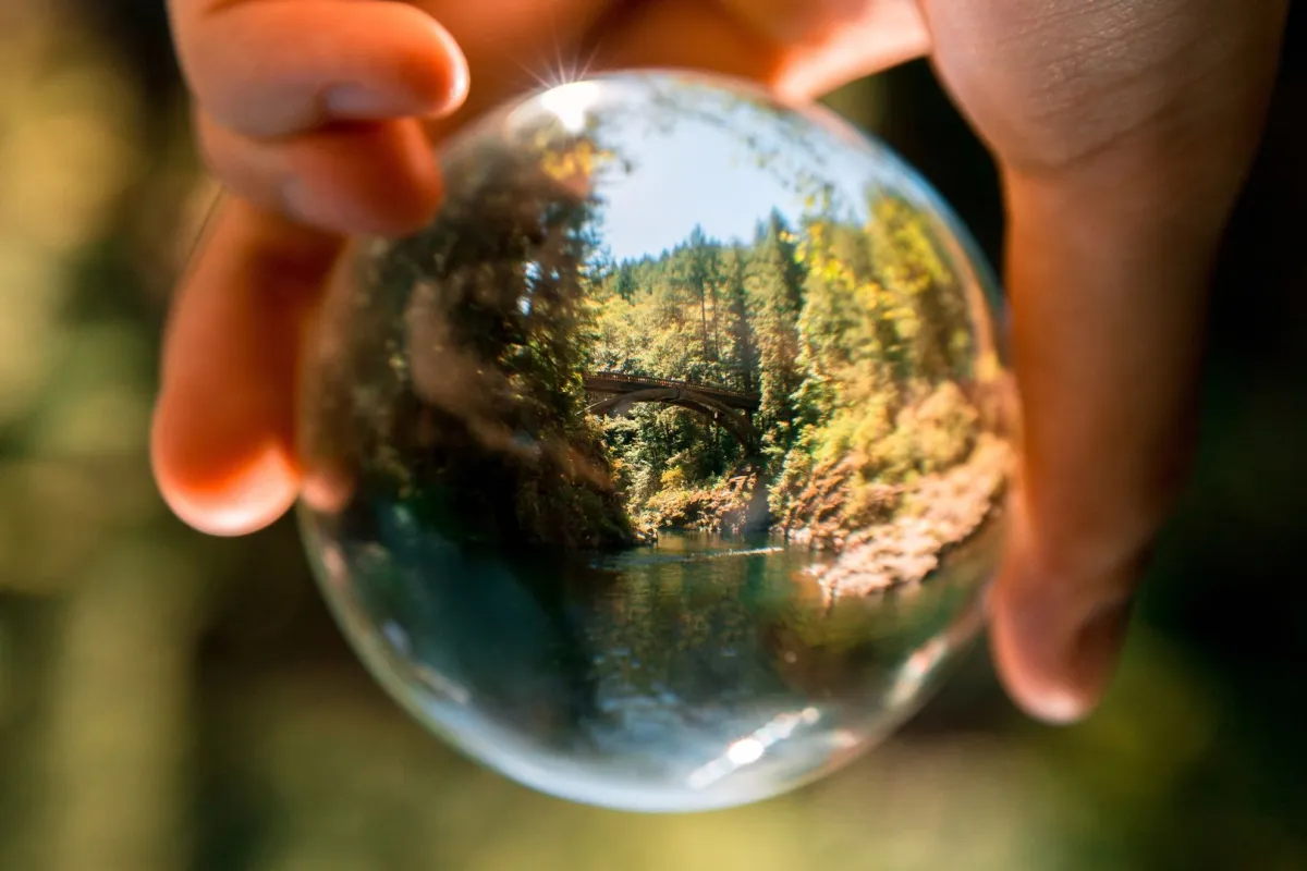 تحديات الحفاظ على البيئة