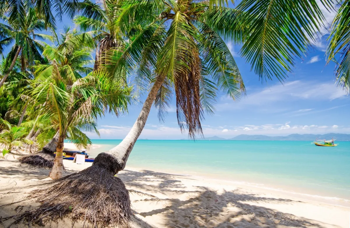 جزيرة كوه ساموي في تايلاند