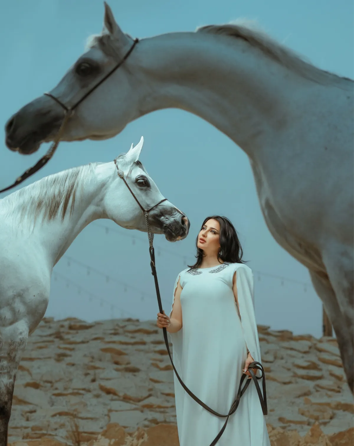 ريم العلي -الصورة من المصدر