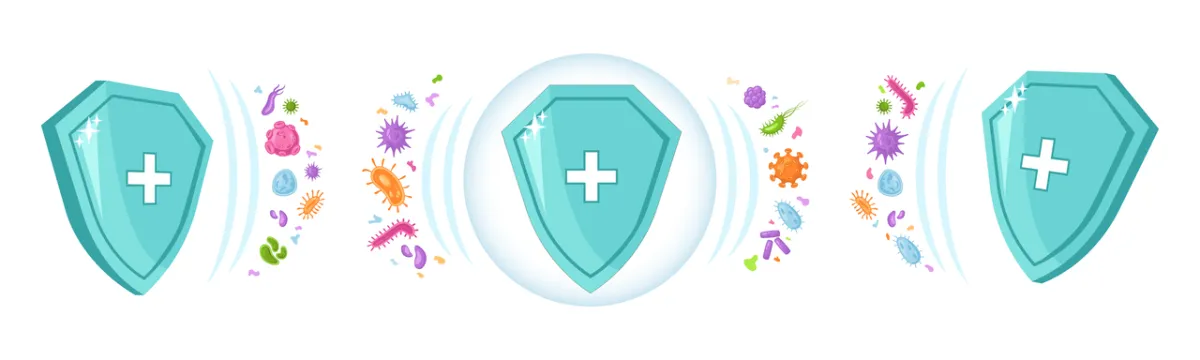 صورة للجهاز المناعي