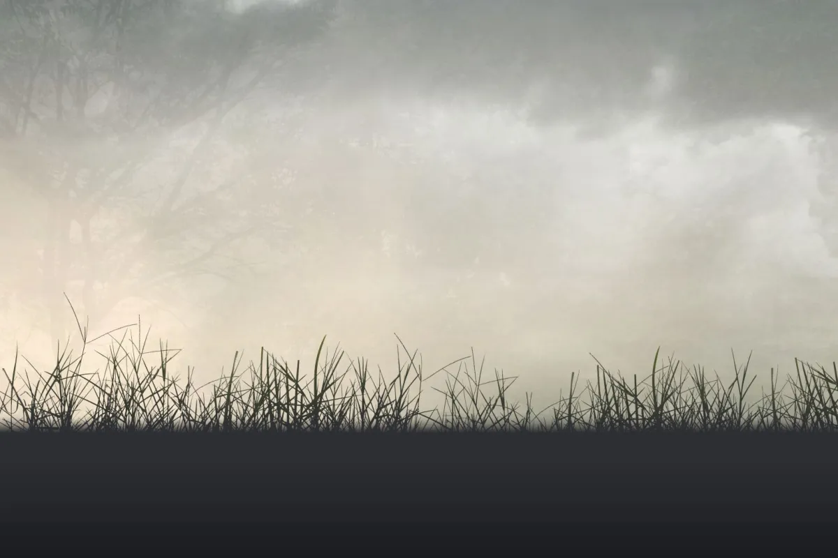 ملكات جمال أنهى السرطان حياتهن. مصدر الصورة: موقع Freepik (صورة تعبيرية)