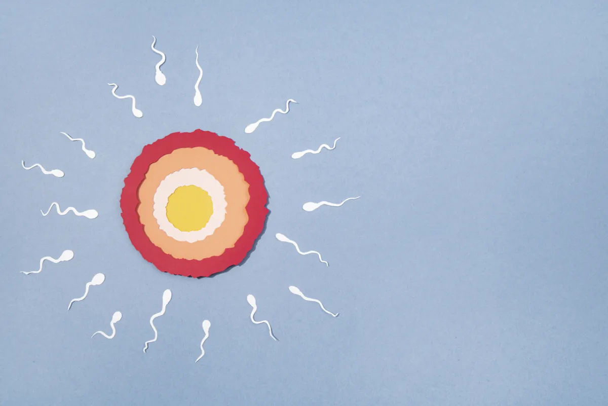 صورة تعبيرية عن التلقيح