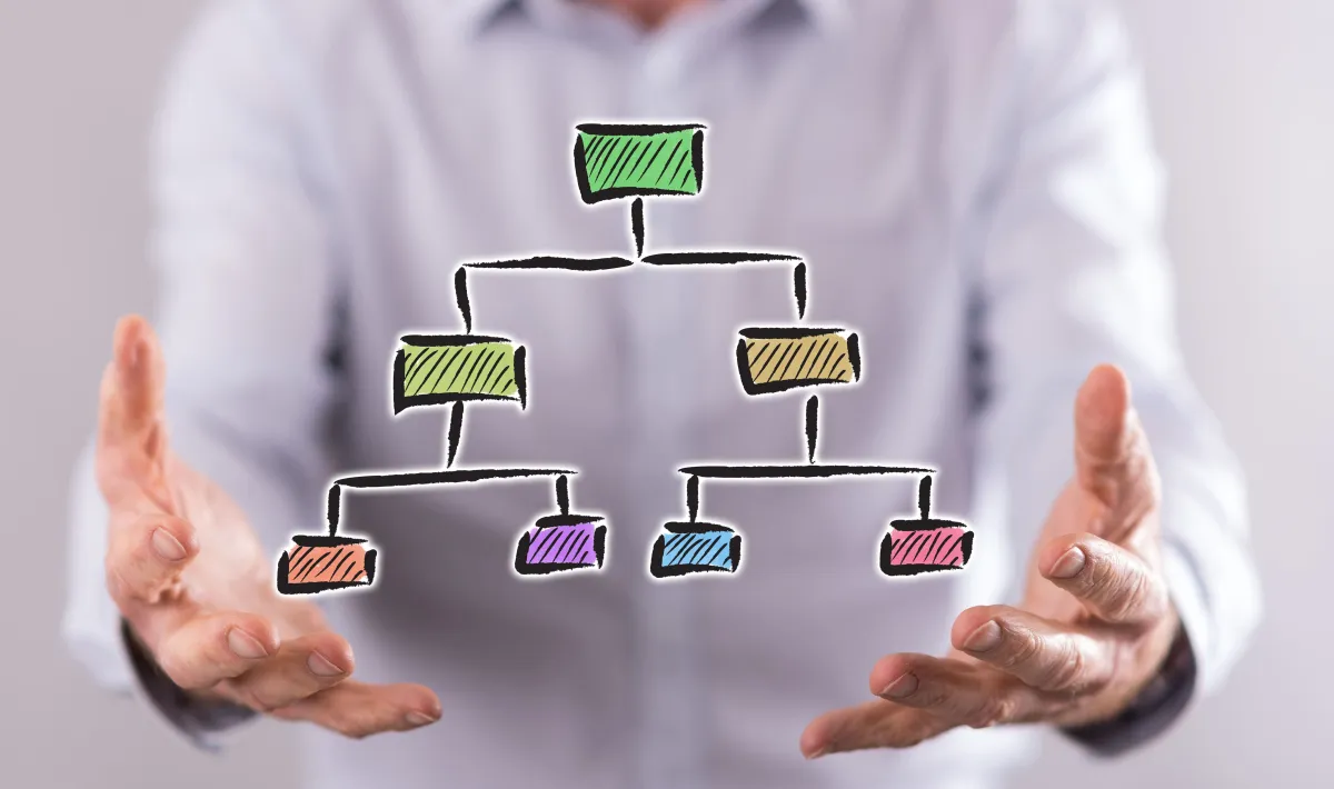 الهيكل التنظيمي