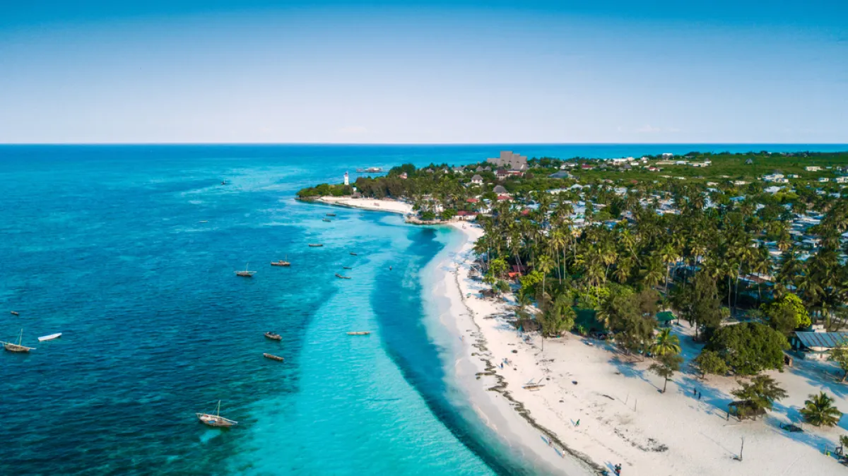 لقطة في زنجبار