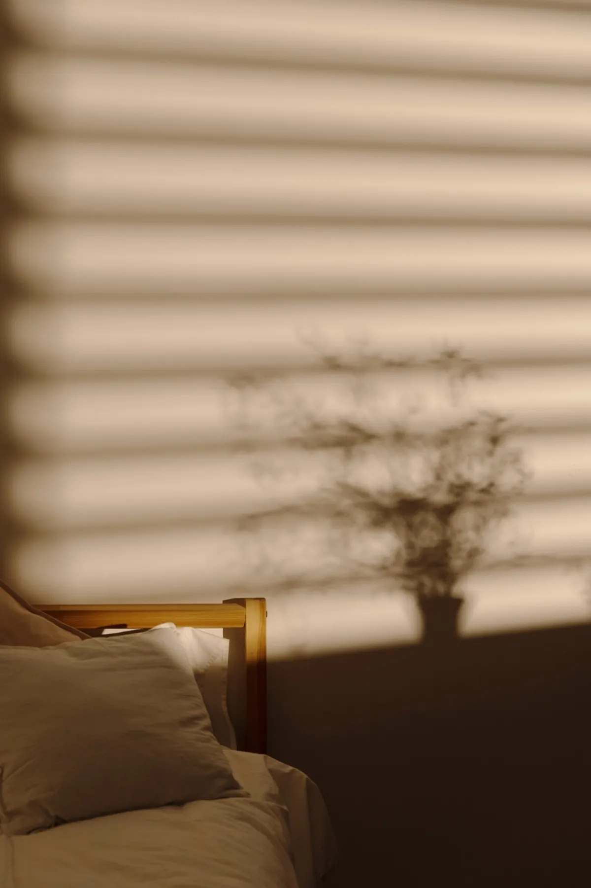 صورة لستائر التعتيم