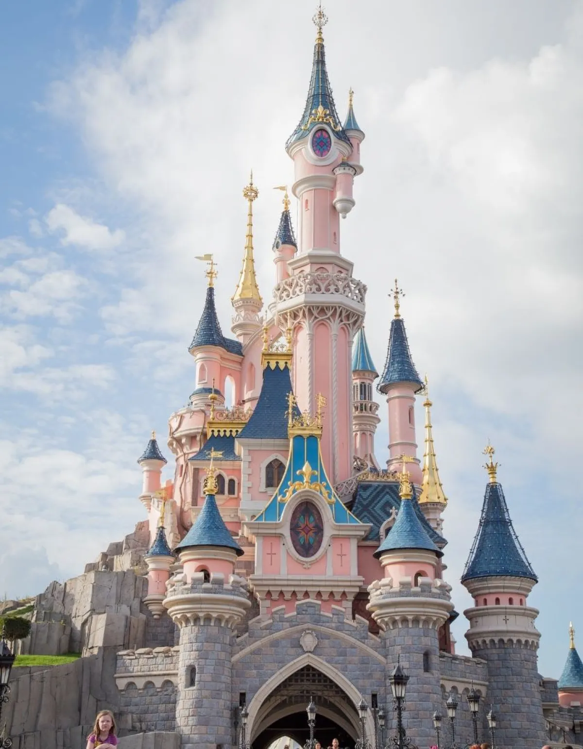 صورة ديزني لاند