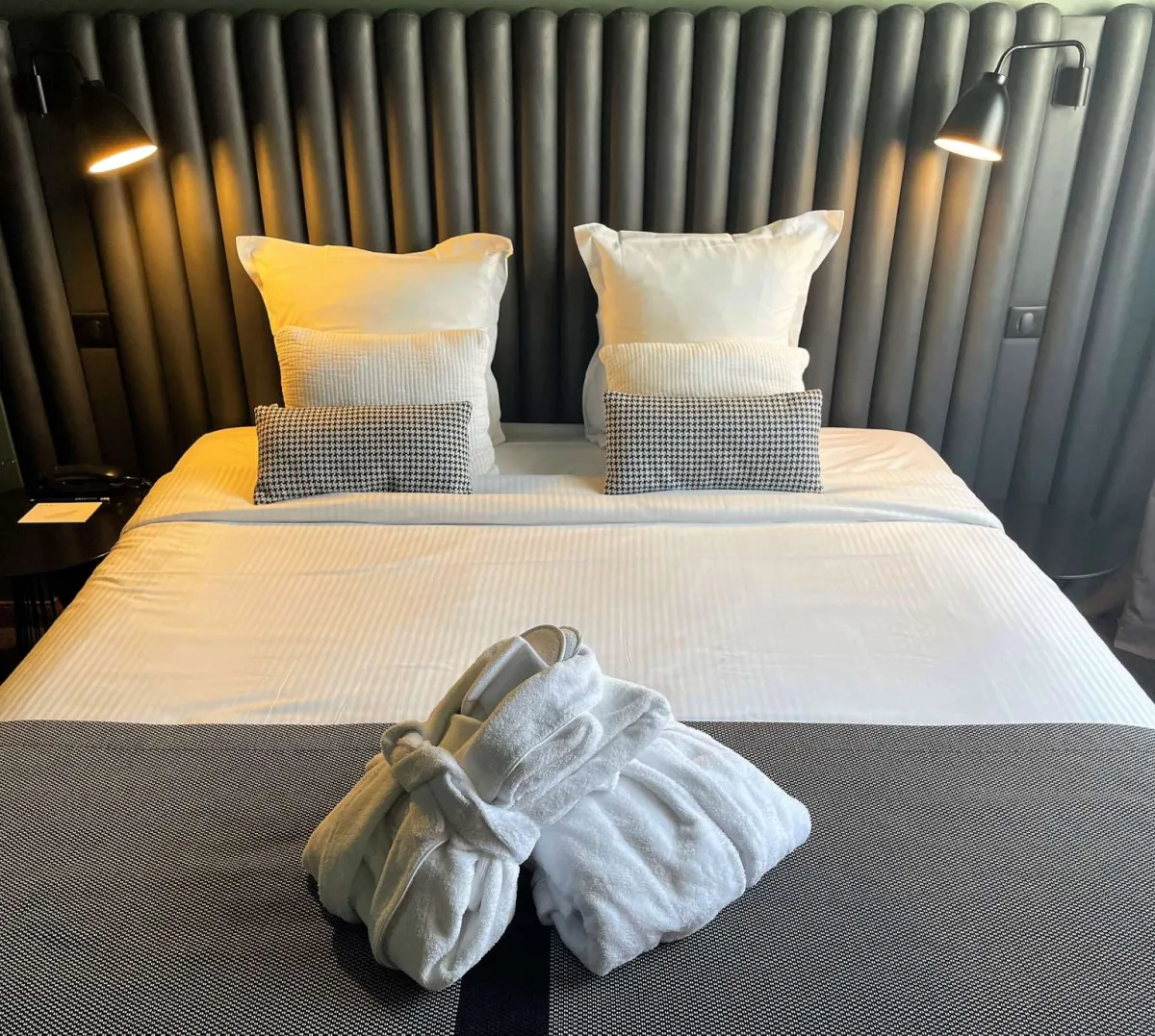 فندق ديانا دوفين 