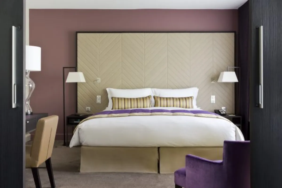 سوفيتل ستراسبورغ غراند إيليه 