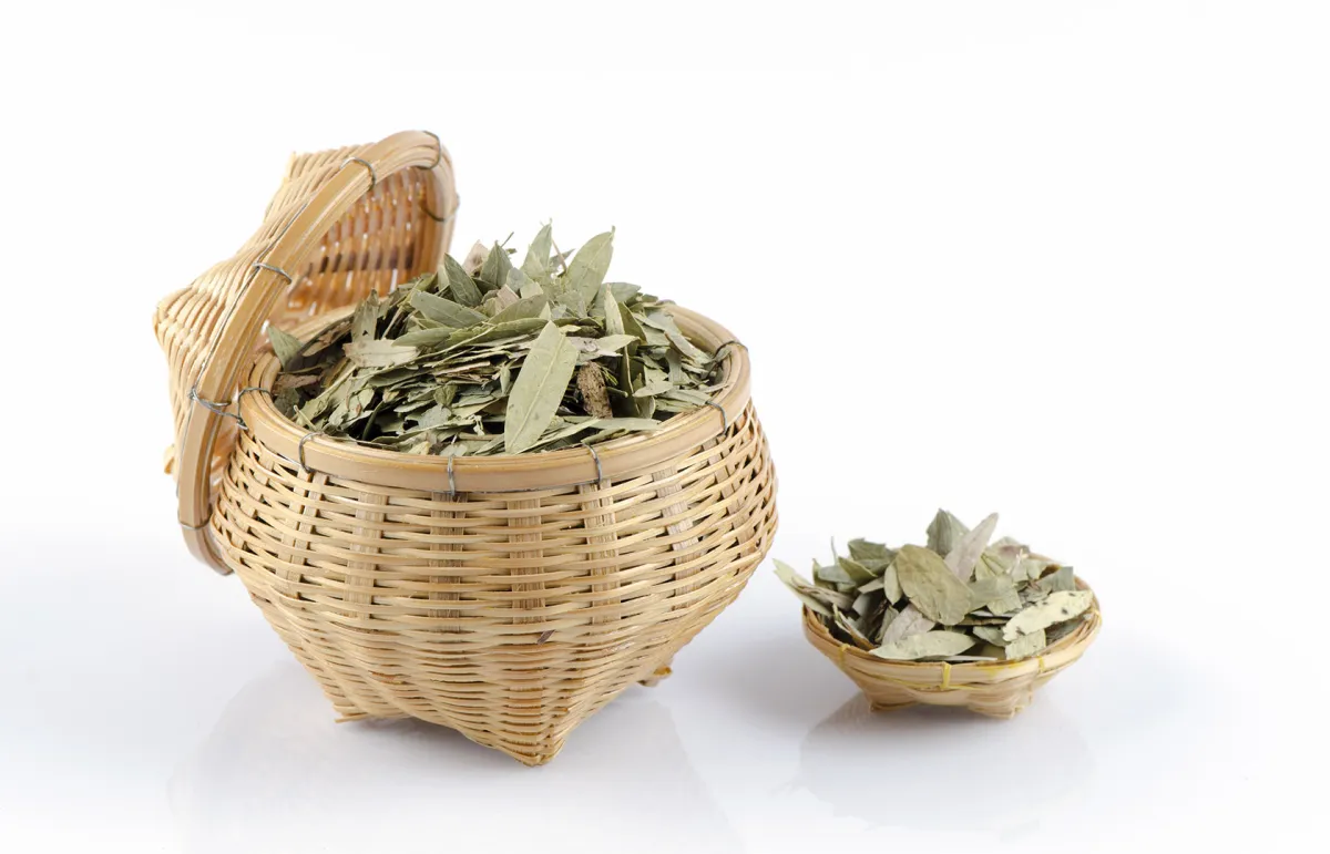 فوائد السنامكي (المصدر: Shutterstock)