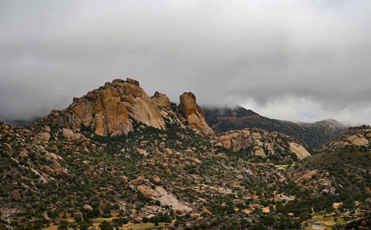 مدينة الطائف. الصورة من واس