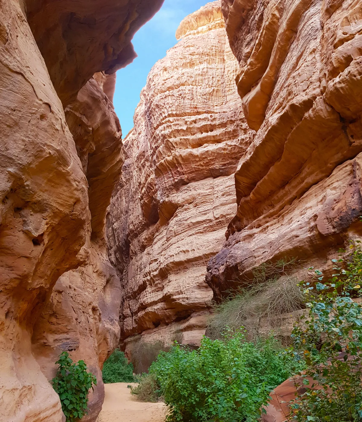 الهيئة الملكية لمحافظة العلا تدشن رسمياً إذاعة "العلا FM". الصورة من موقع unsplash by Ayman Mokhtar