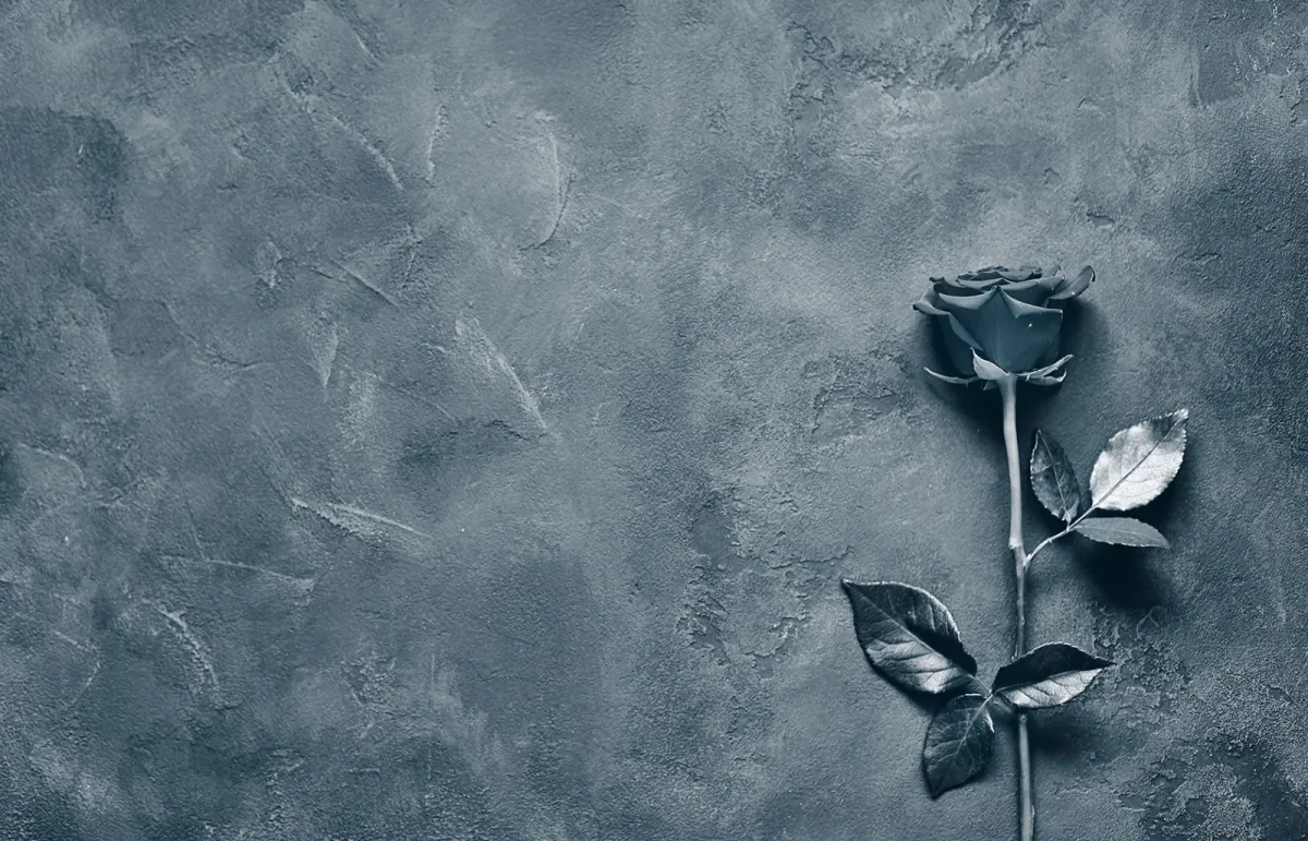 صور تعبيرية من Shutterstock