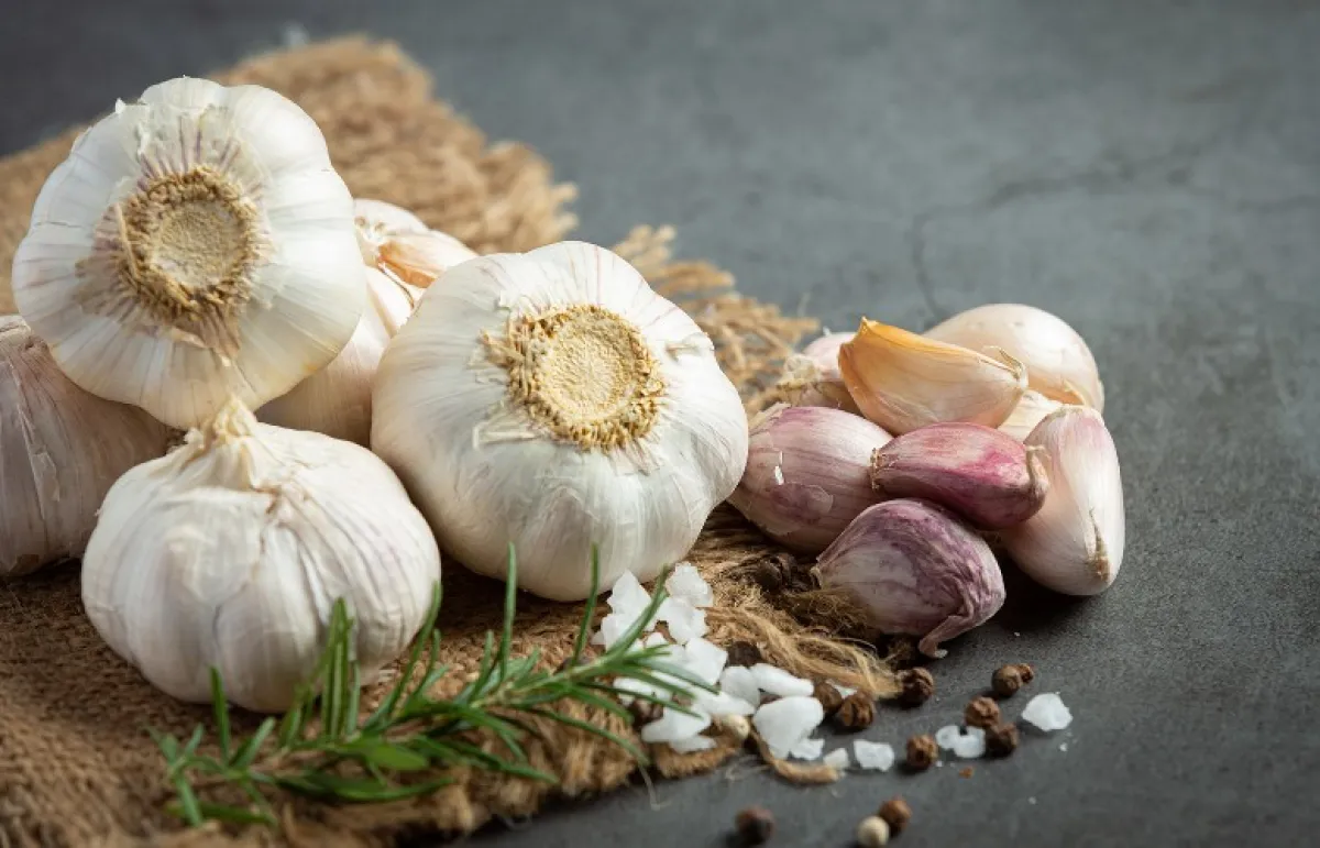 فوائد الثوم الصحية للقلب (المصدر: Shutterstock)