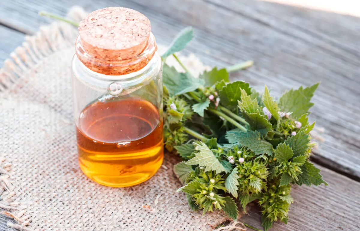 عشبة مريوت للتنحيف (المصدر: Shutterstock)