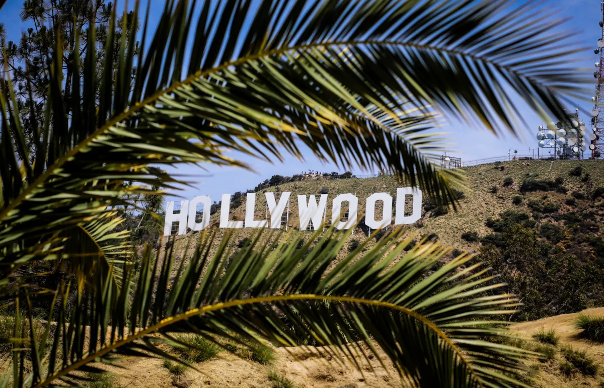 هوليوود. مصدر الصورة: pexels-edgar-colomba