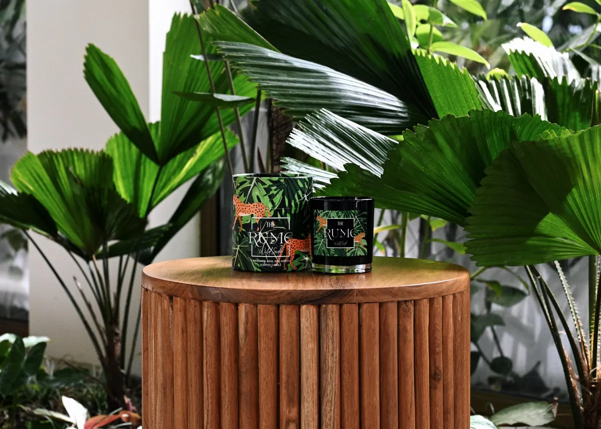 شمعة  "Wild Side"