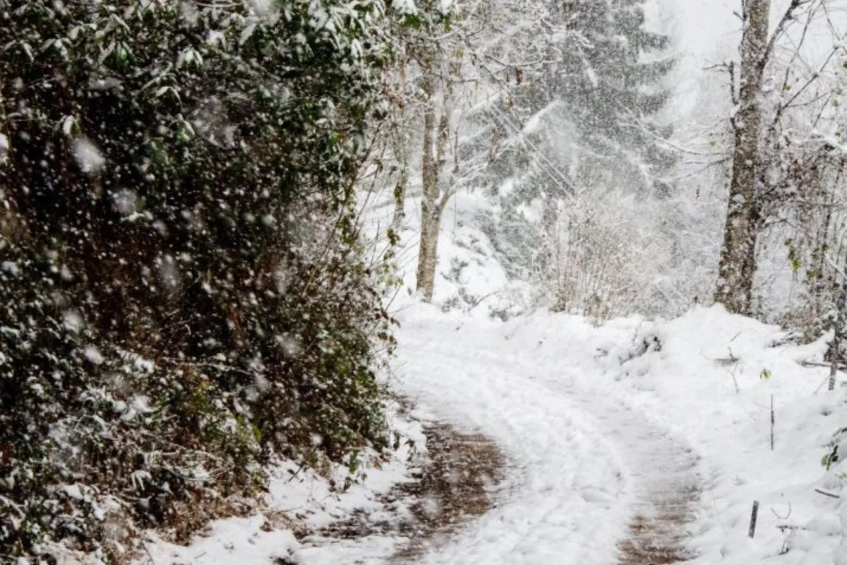 ماذا قال الشعراء عن الشتاء؟