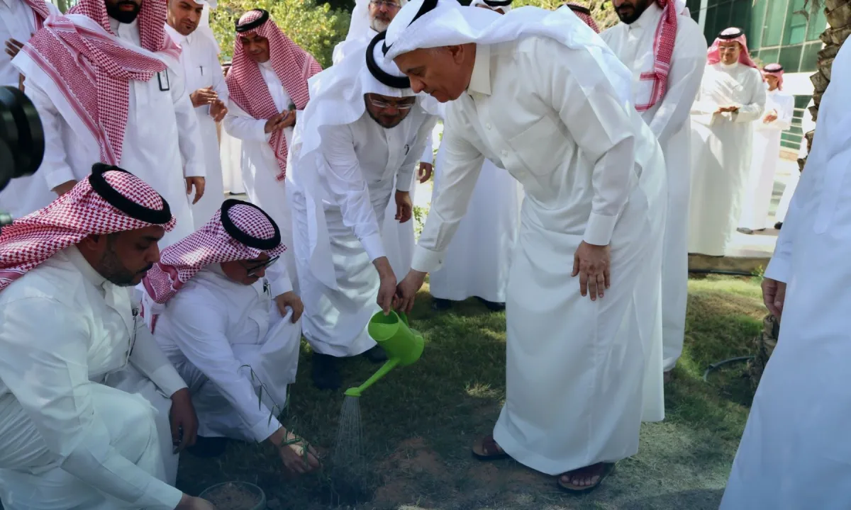 التشجير