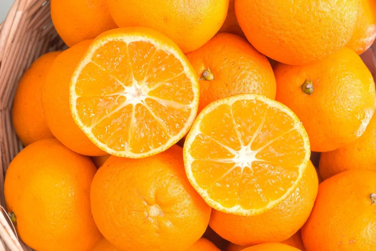 صورة لعدد من البرتقالات