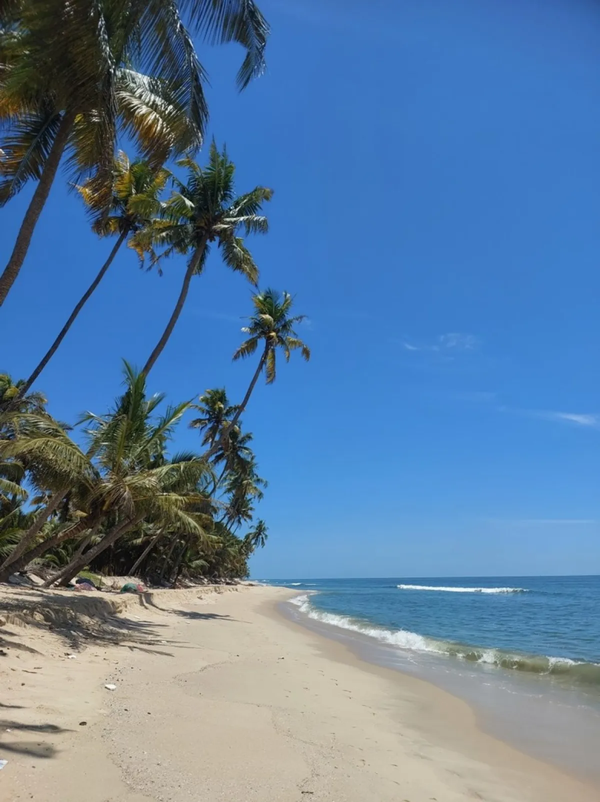 شاطئ أنداكارانازي