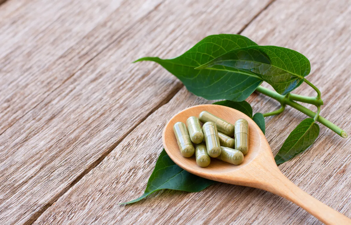 عشبة الجيمنيما للتنحيف (المصدر: Shutterstock)