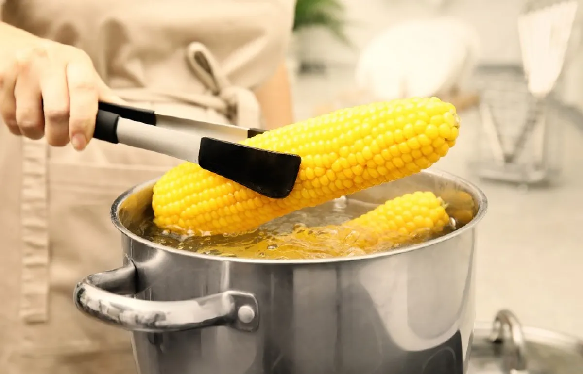 تحتوي الذرة على نسبة عالية من السليلوز (المصدر: Shutterstock)