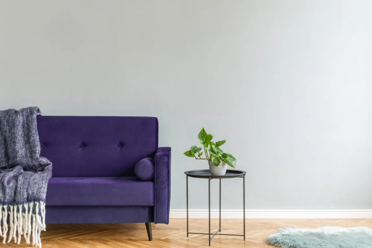 صوفا مميزة في غرفة المعيشة