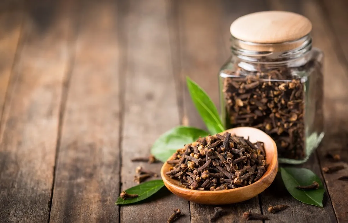 يساعد القرنفل في الوقاية من بعض أنواع السرطان (المصدر: Shutterstock)