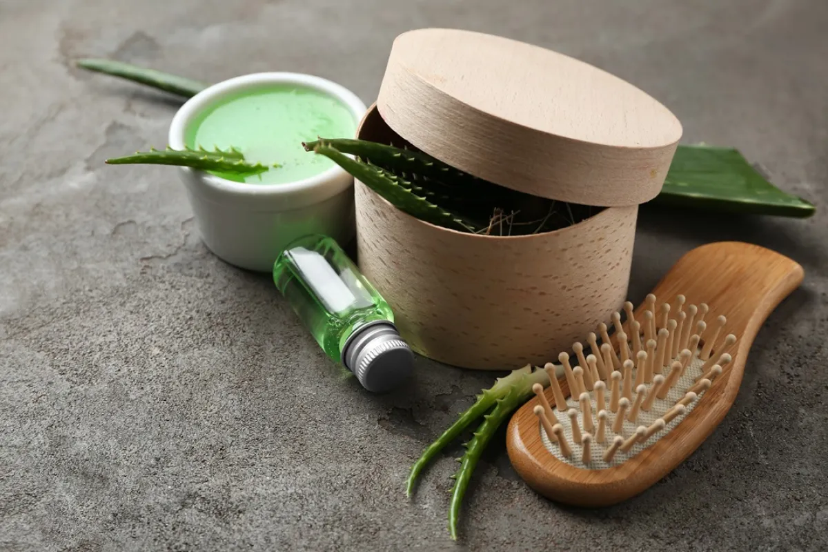 صورة لجل الصبار