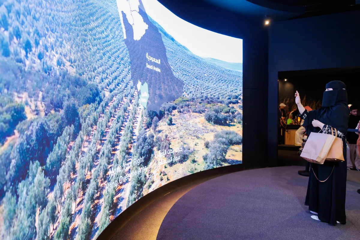 تستعرض المنطقة بداية تكوين شجرة الزيتون وتاريخها