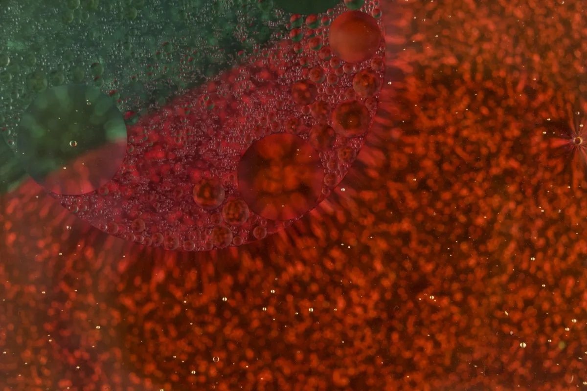 الطحالب الحمراء - الصورة من Freepik 