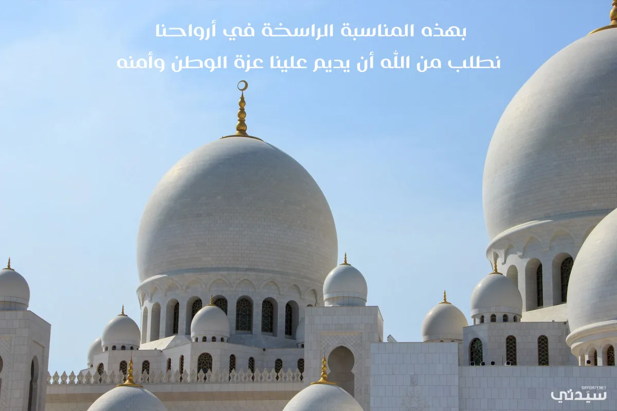 صورة لمسجد زايد
