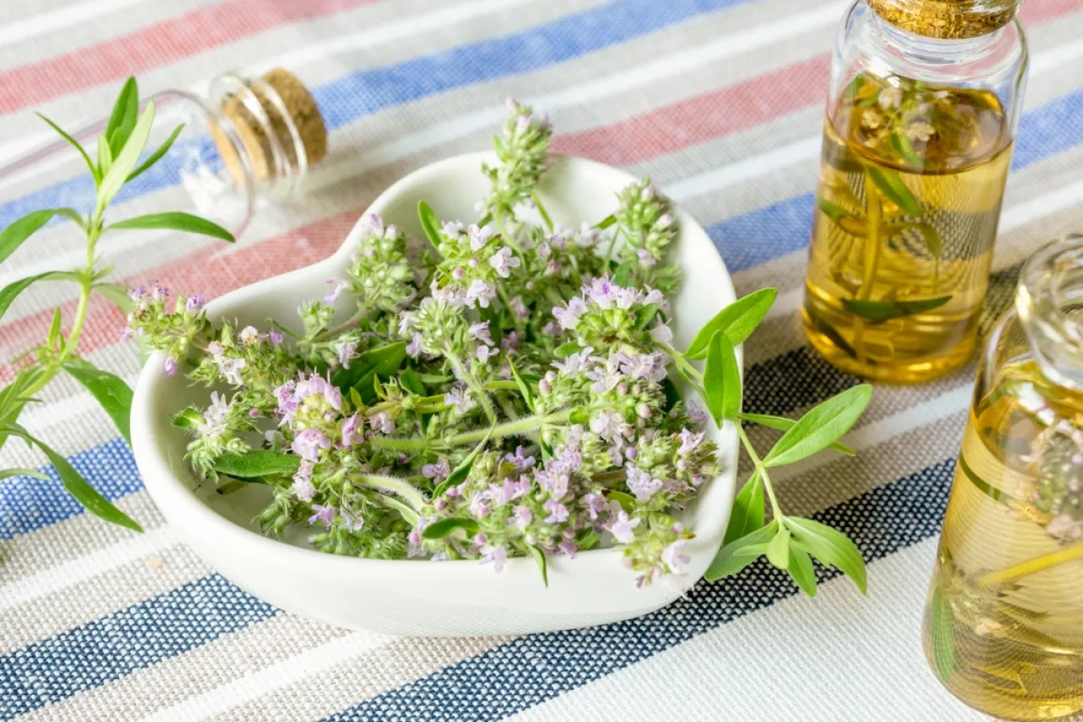 مشروبات مفيدة للقلب والشرايين... من المهم الحرص على تناولها حسب اختصاصية (المصدر: Shutterstock)