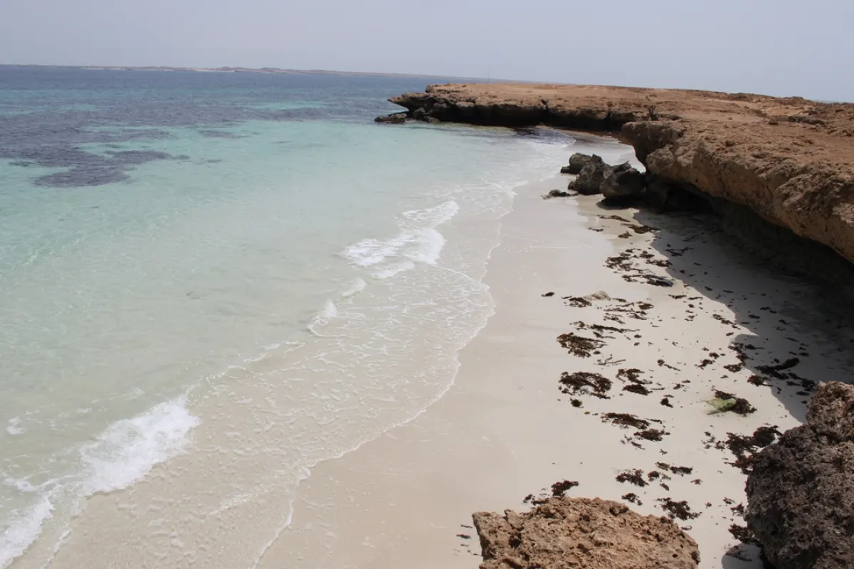 جزر فرسان-الصورة من Alzidane/shutterstock