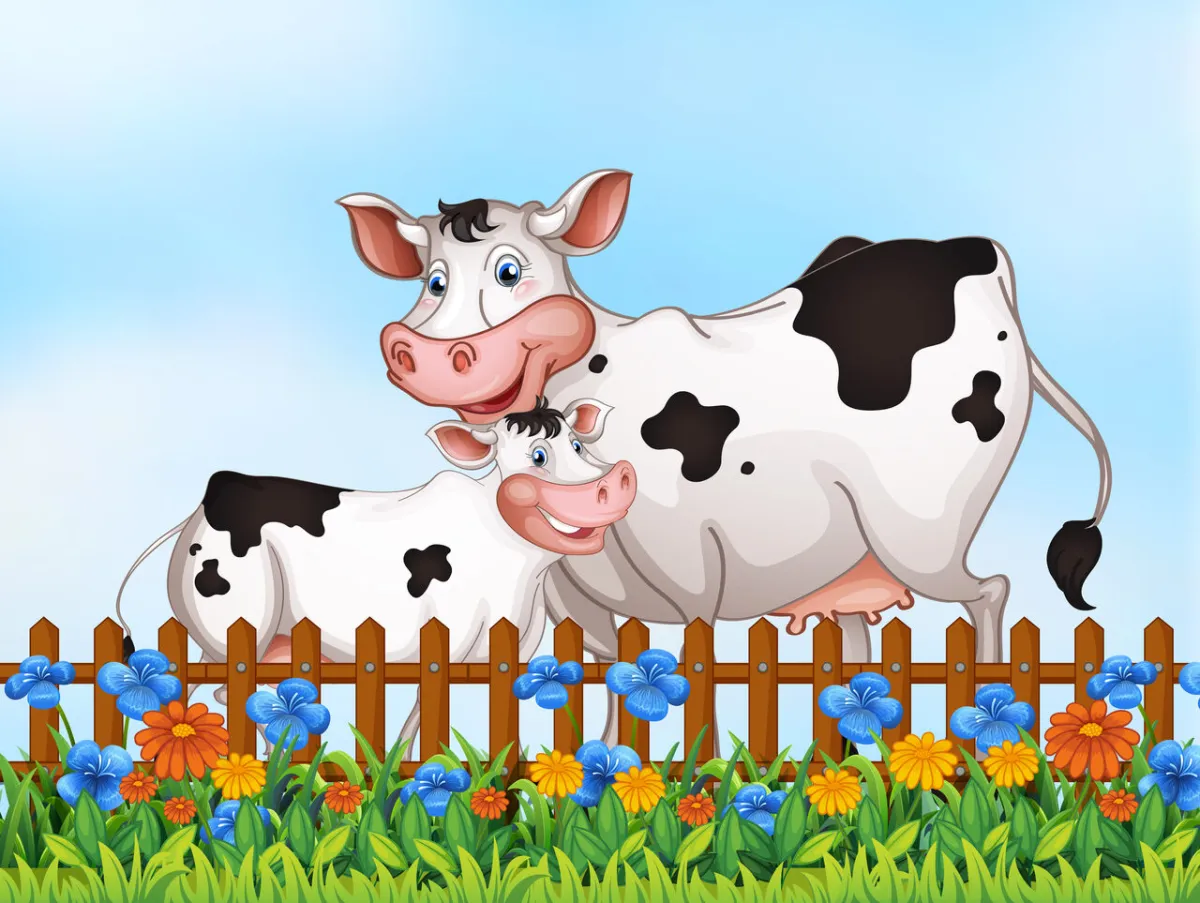 صورة للأبقار الضاحكة