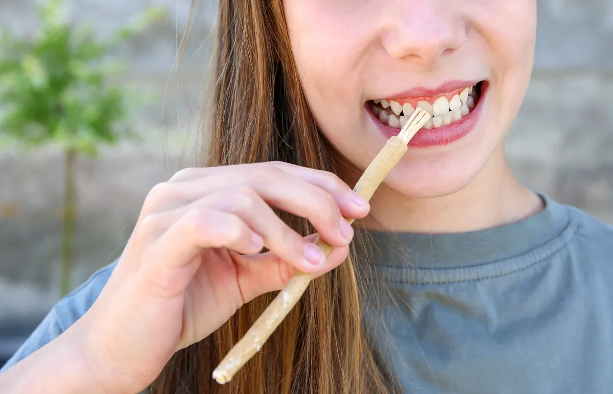 فوائد السواك للأسنان.. لن تصدقي مفاعيله السحرية (المصدر: Shutterstock)