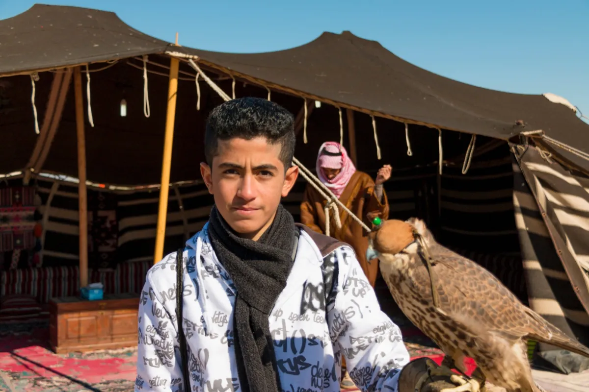 تفسير حلم الصقر