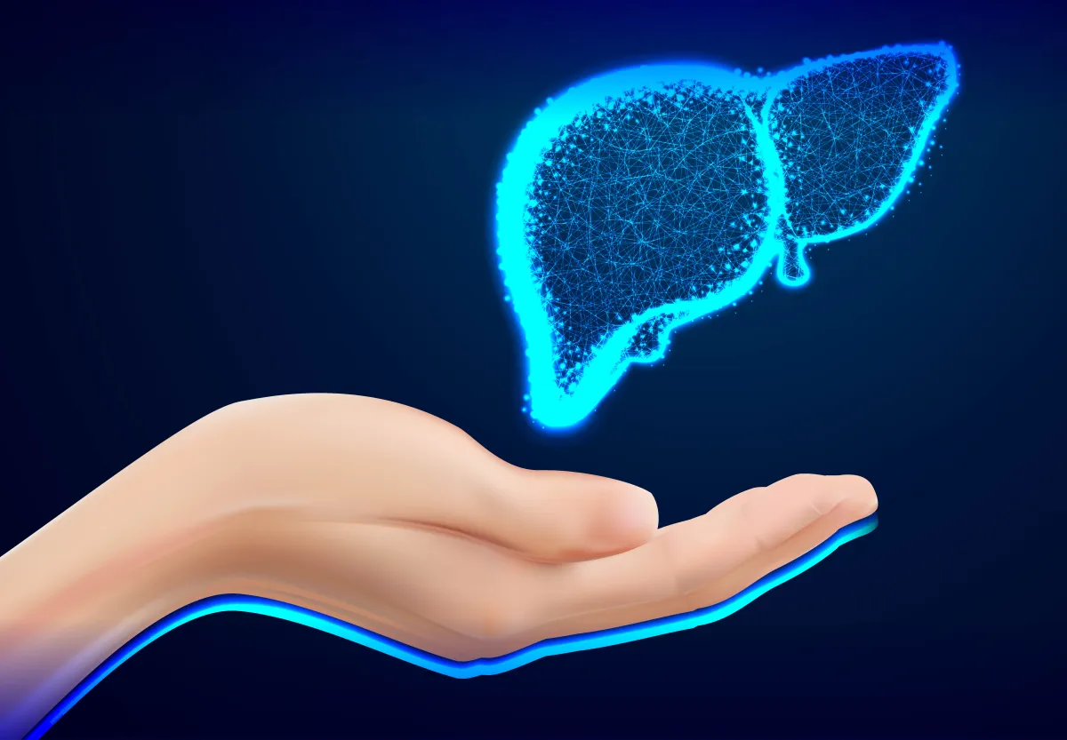 الكبد يتعرض للتلف بسبب السموم- المصدر freepik