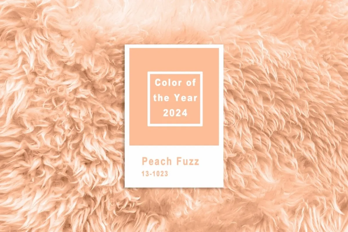 حضور البرتقالي الوردي  سيتردد في مجال الناس البصري