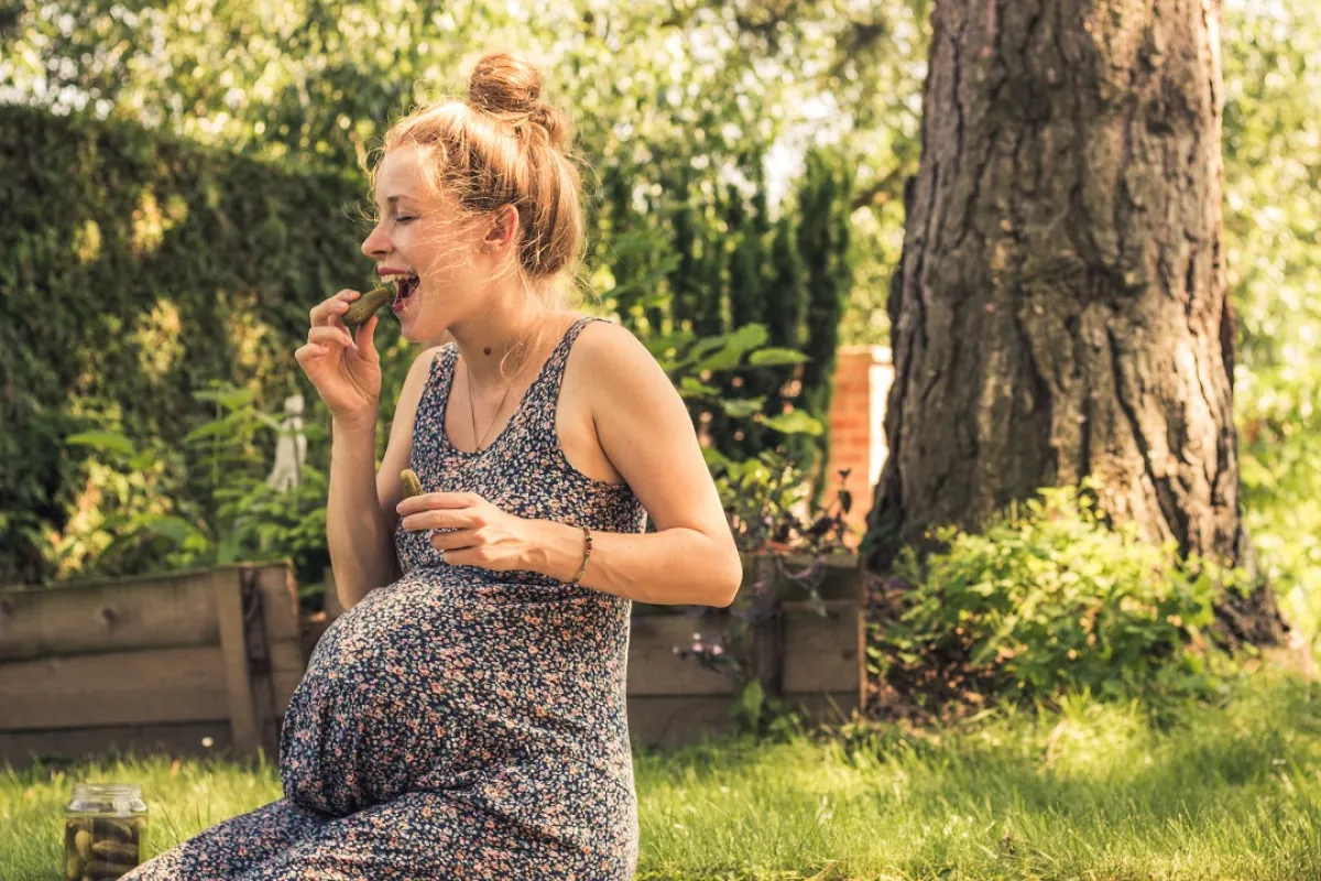 صورة لحامل تتناول المخللات