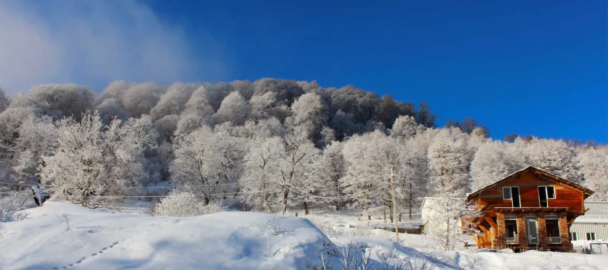 تشكل منحدرات منتجع باكورياني للتزلج خياراً مثالياً لعشاق المغامرات 
