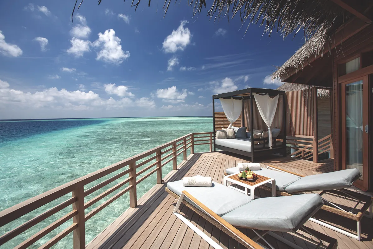 الأجنحة بحمام السباحة في في منتجع باروس المالديف