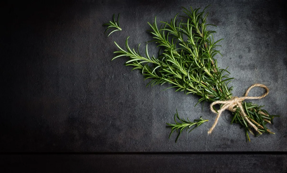 إكليل الجبل