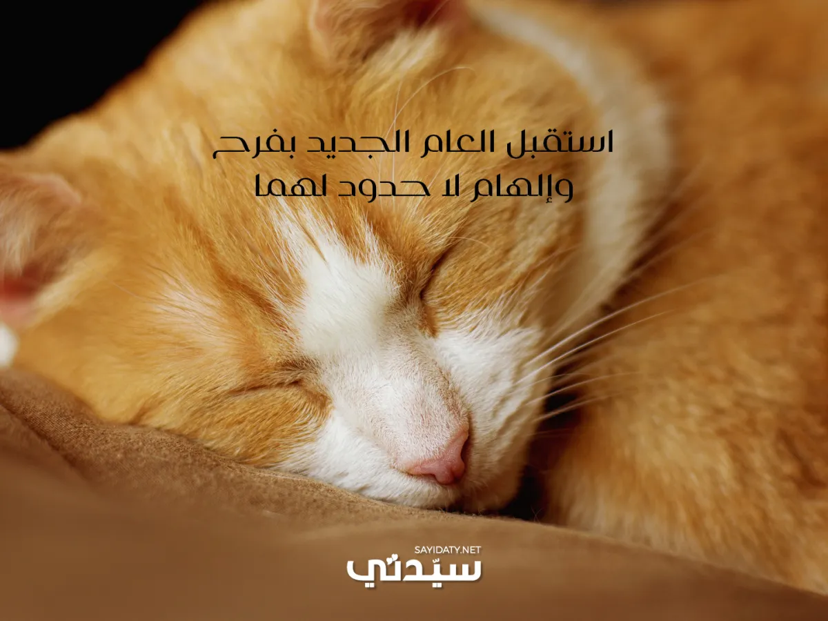 صورة بطاقة معايدة