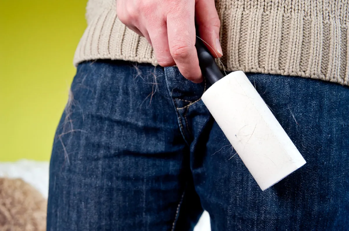 تنظيف الملابس ومن الشعر والوبر