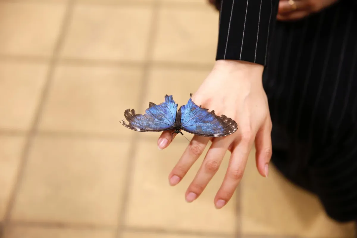 موسم الرياض