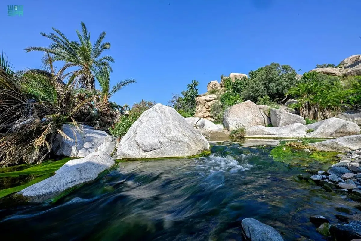  توجيه من محافظ الطائف السعودية للتعامل مع الحالة المطرية