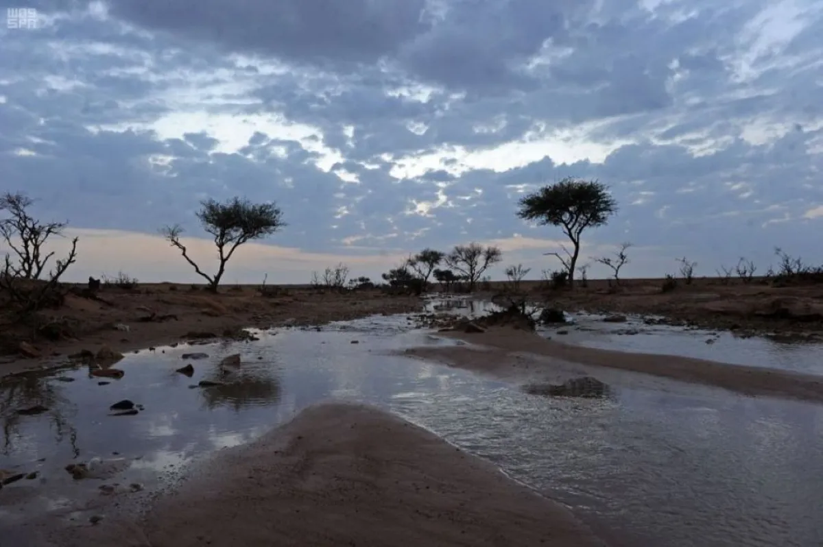 جمعية الإمارات للفلك: اليوم بدء دخول "أربعين المريعي" 