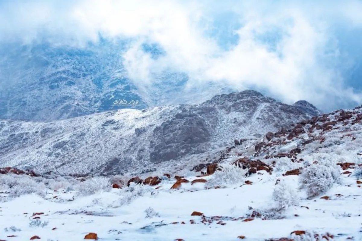 الثلوج تغطي جبال اللوز شمال السعودية