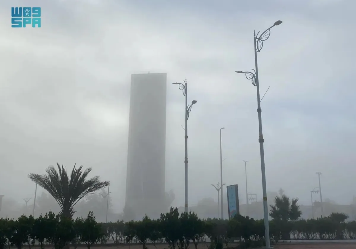 ضباب في طريف 